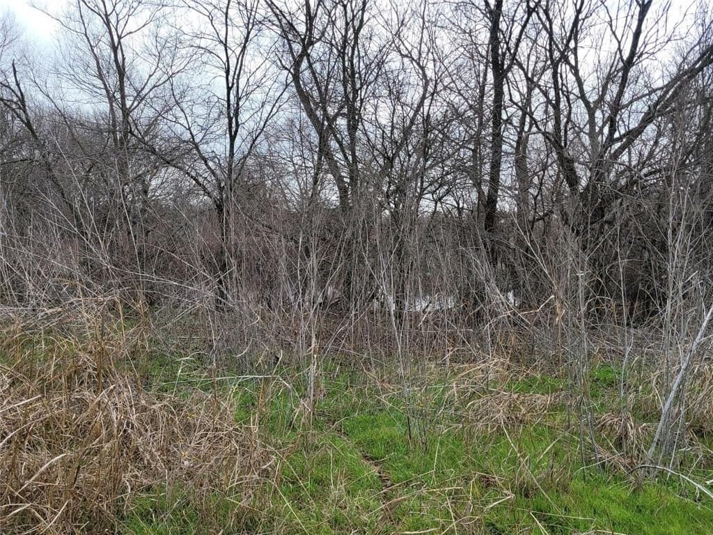 24.55 acres in Johnson County - photo 8