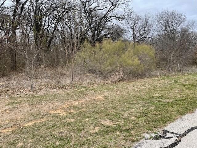 1.17 acres in Kaufman County - photo 3