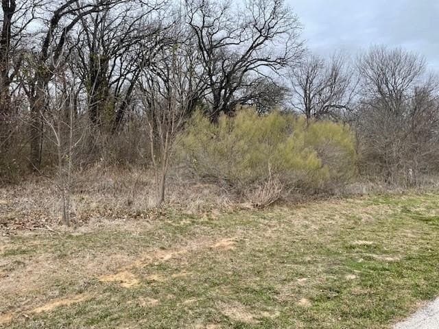 1.17 acres in Kaufman County - photo 4
