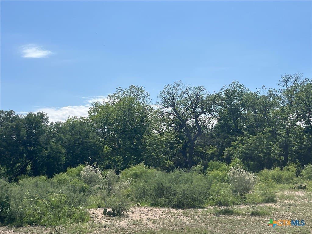 261.89 acres in San Saba County - photo 48