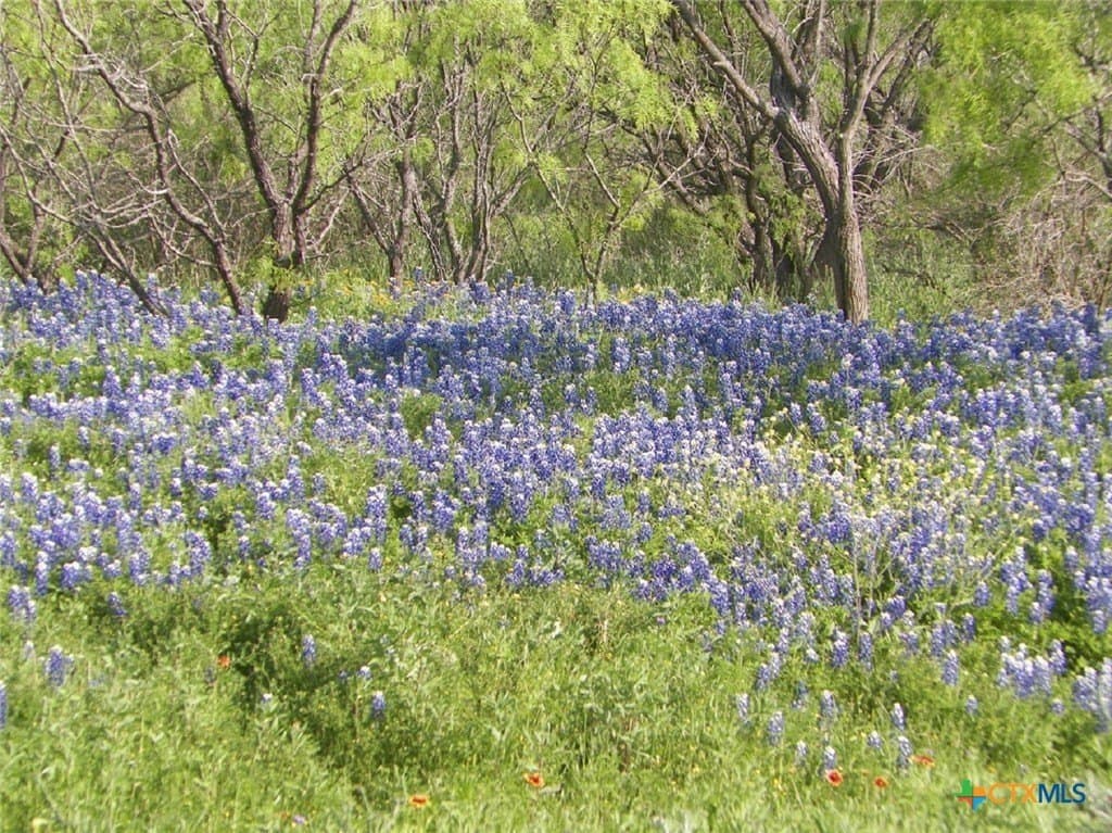 261.89 acres in San Saba County - photo 17