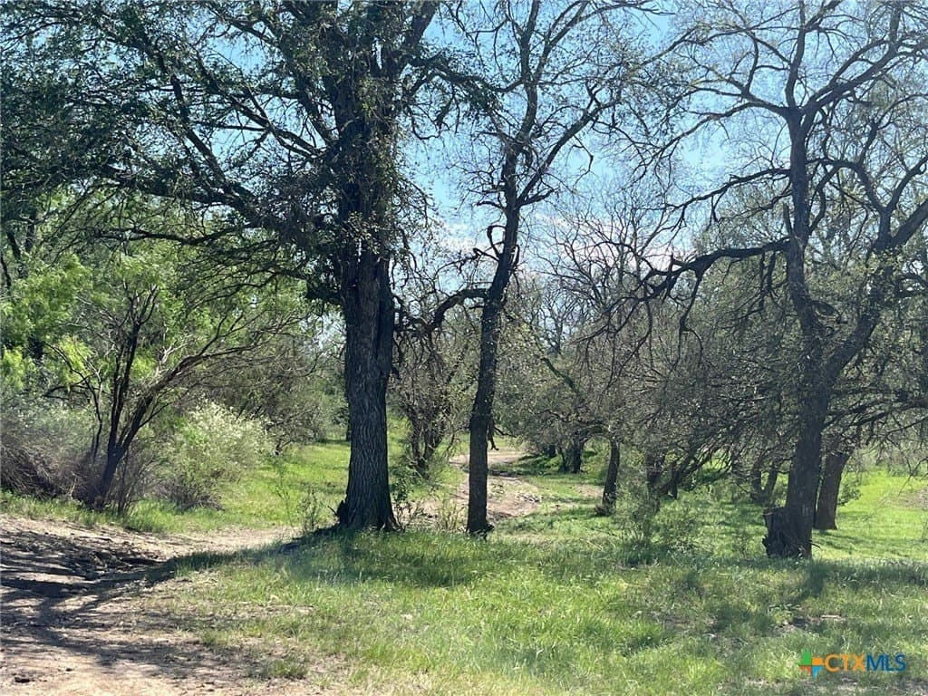 261.89 acres in San Saba County - photo 12