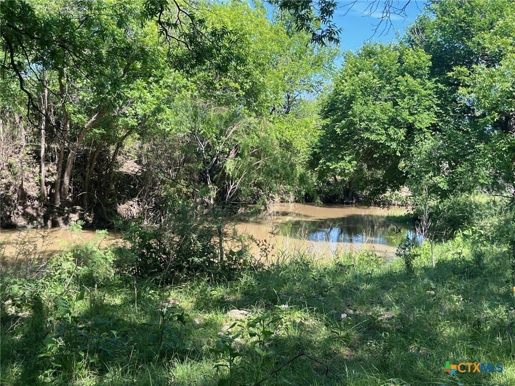 261.89 acres in San Saba County - photo 9