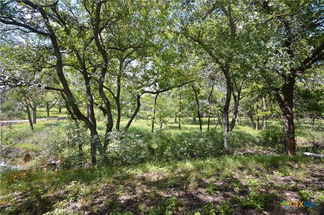 261.89 acres in San Saba County - photo 41