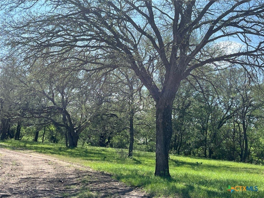 261.89 acres in San Saba County - photo 46