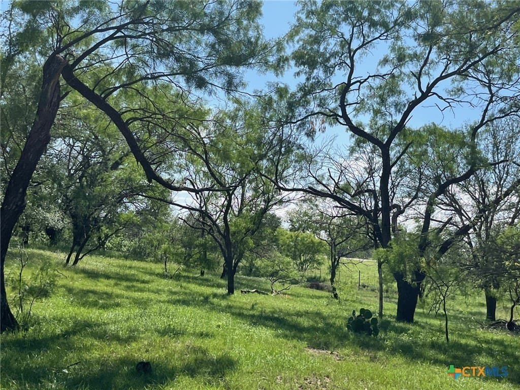 261.89 acres in San Saba County - photo 10