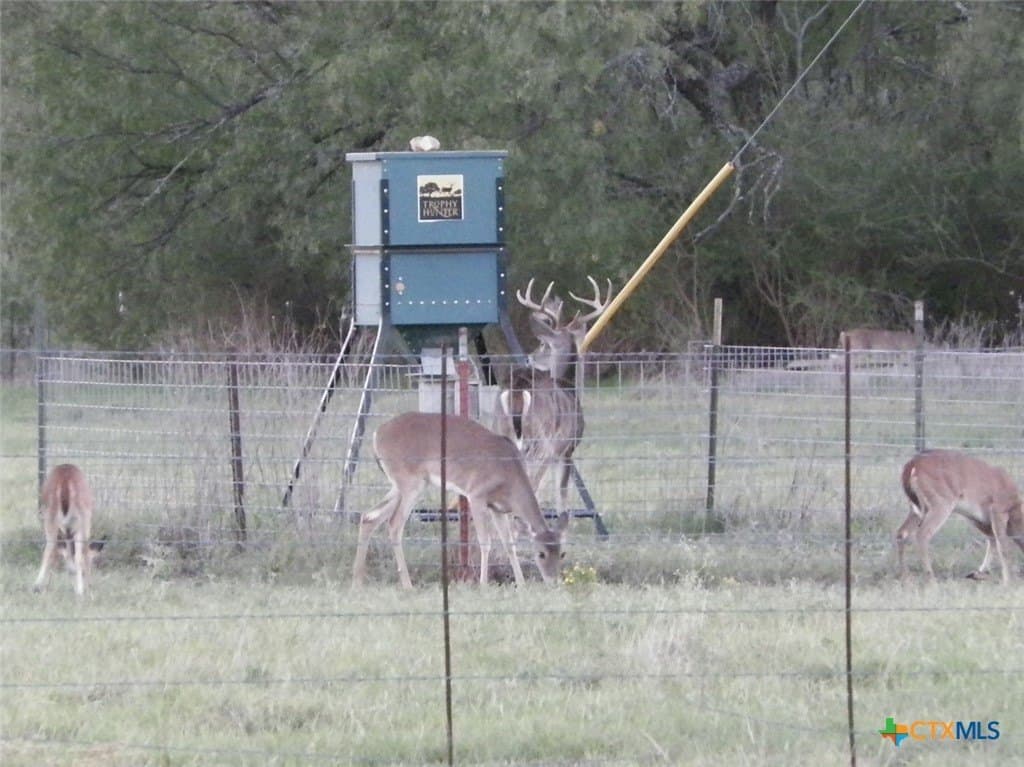 261.89 acres in San Saba County - photo 15
