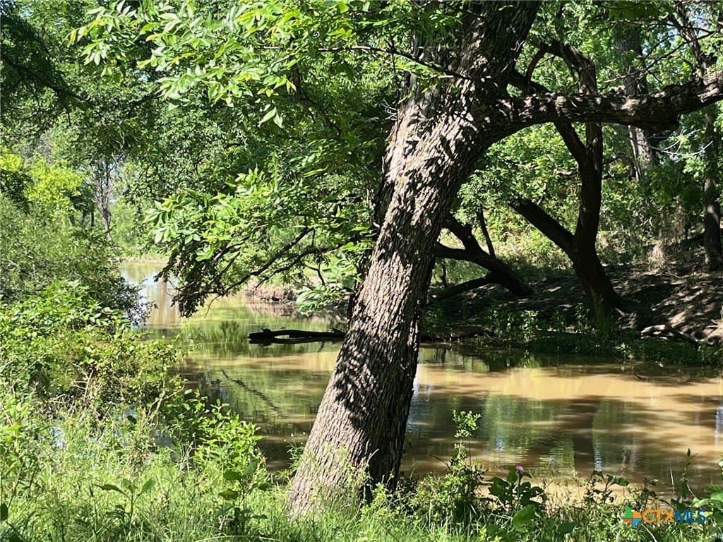 261.89 acres in San Saba County - photo 7