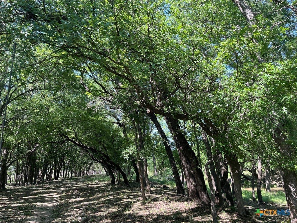 261.89 acres in San Saba County - photo 13