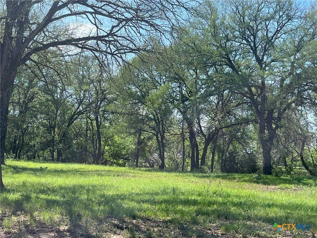 261.89 acres in San Saba County - photo 11