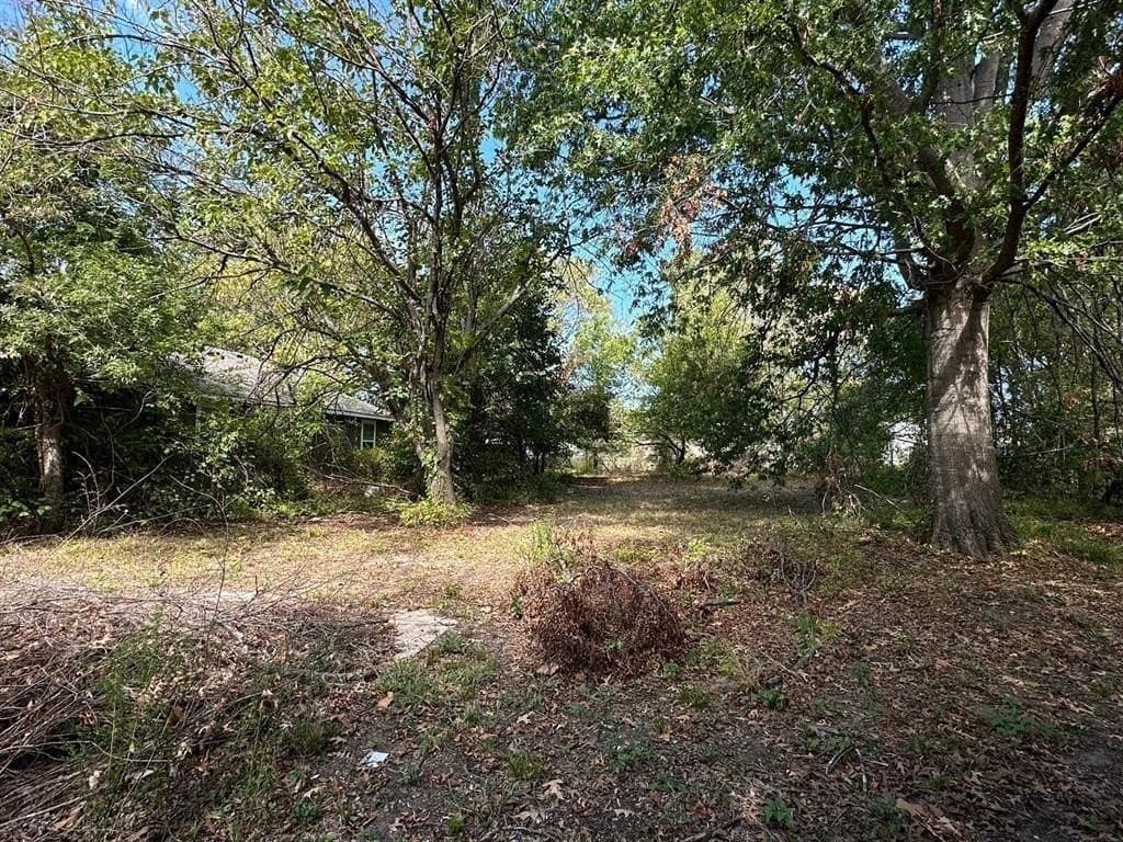 0.26 acres in Fannin County - photo 3