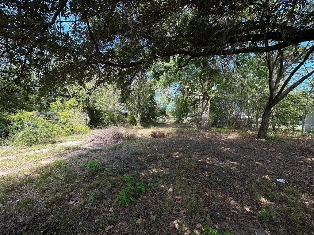 0.26 acres in Fannin County - photo 9
