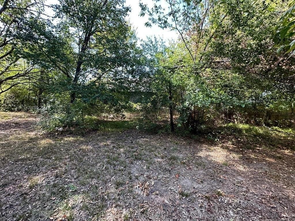 0.26 acres in Fannin County - photo 5
