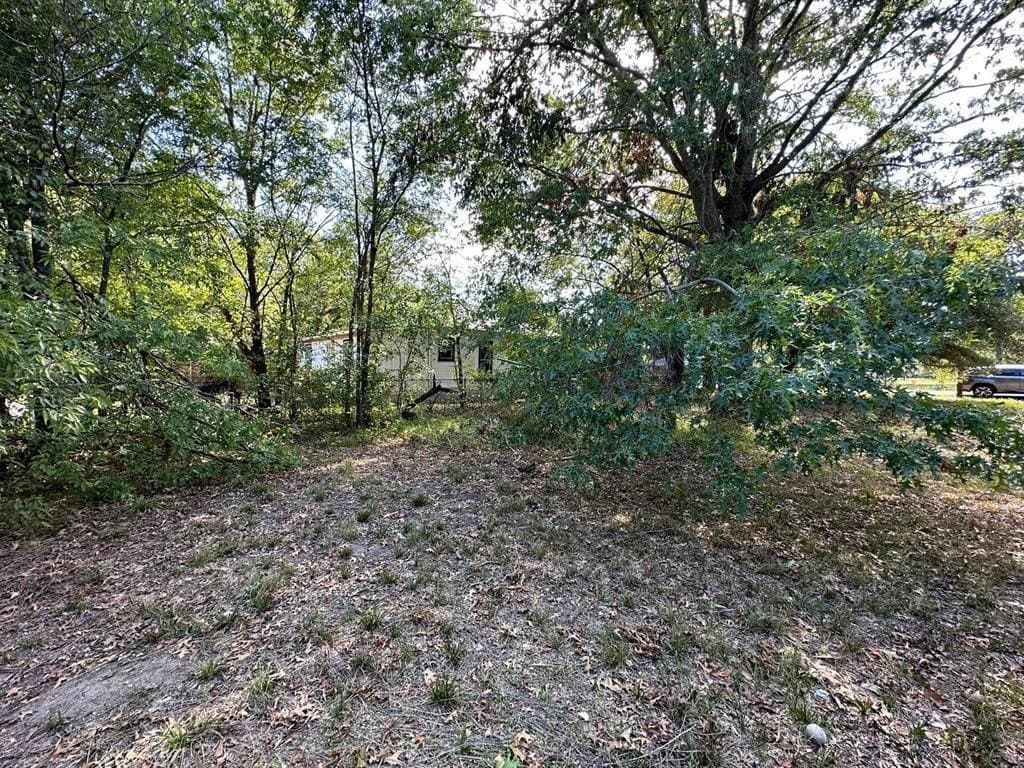0.26 acres in Fannin County - photo 8