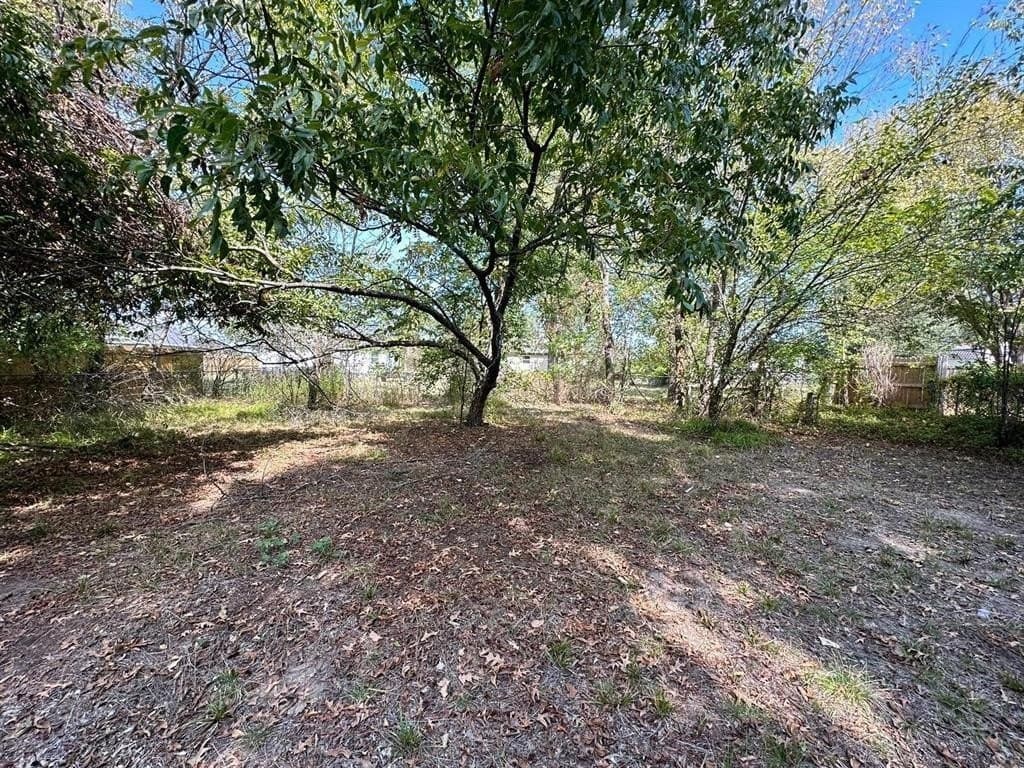 0.26 acres in Fannin County - photo 4