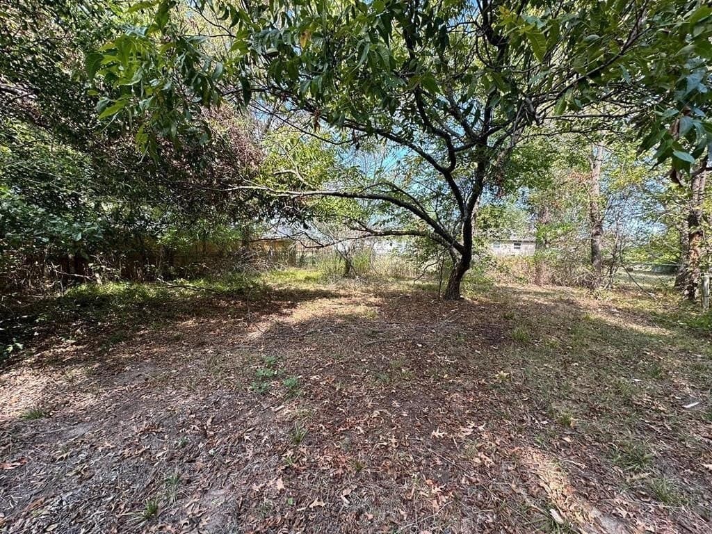 0.26 acres in Fannin County - photo 6
