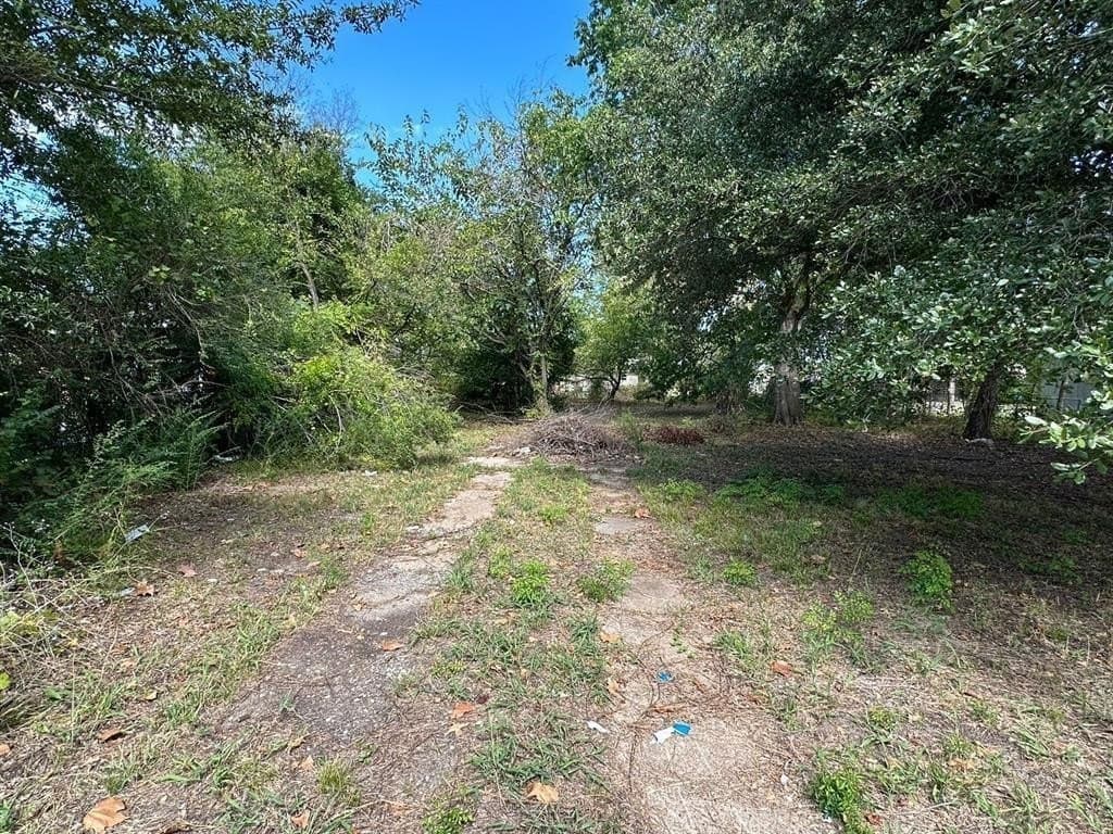 0.26 acres in Fannin County - photo 11