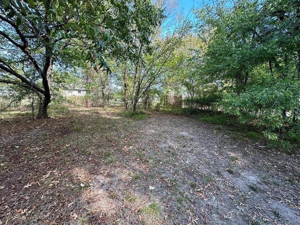 0.26 acres in Fannin County - photo 7