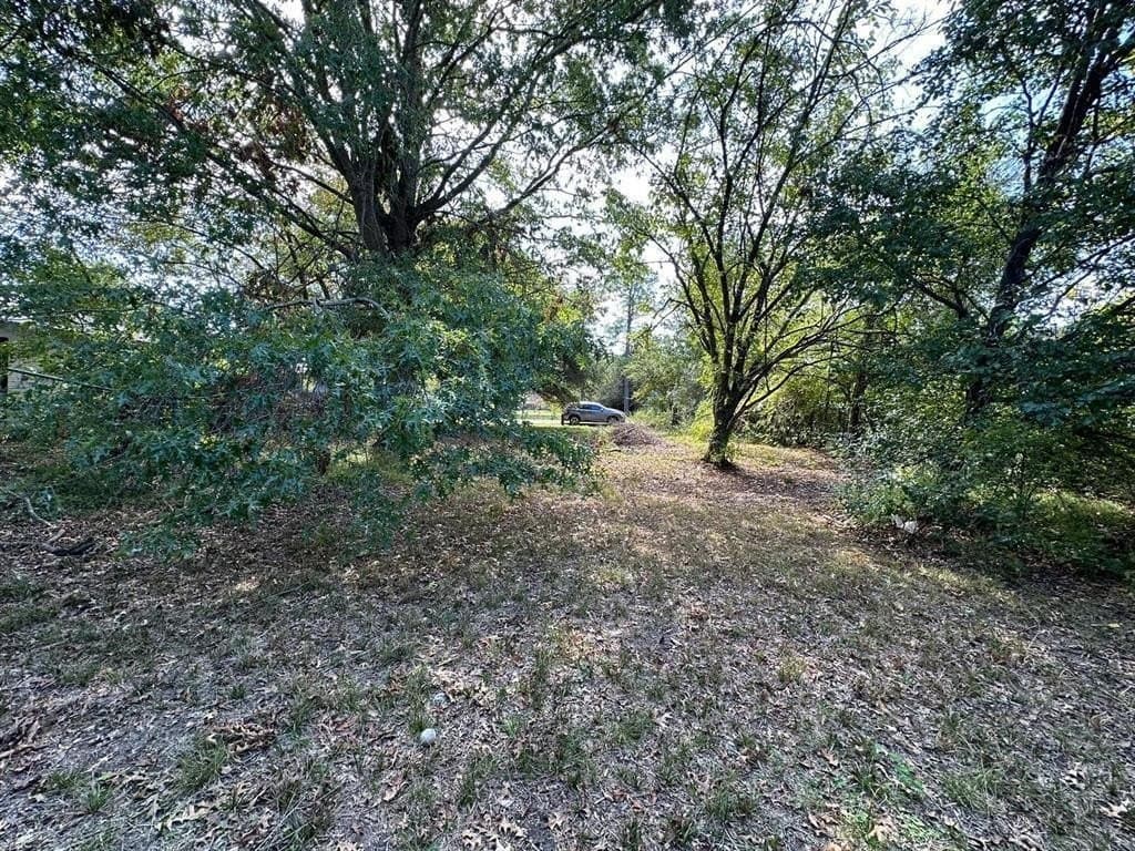 0.26 acres in Fannin County - photo 2