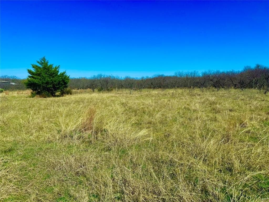 60 acres in Montague County - photo 2