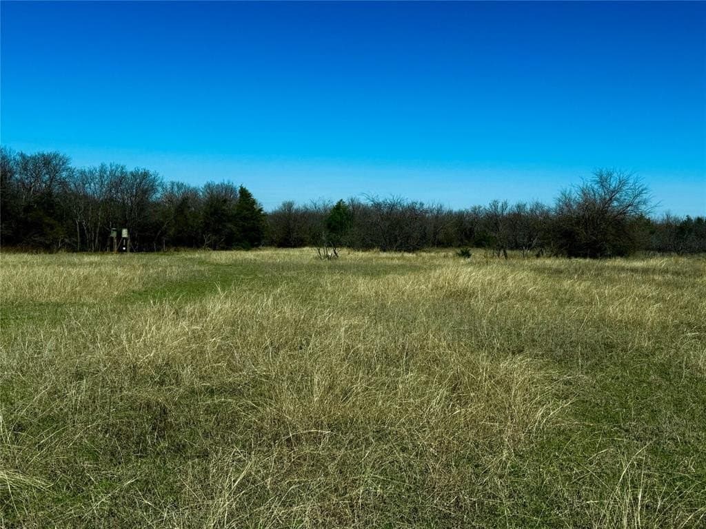 60 acres in Montague County - photo 4