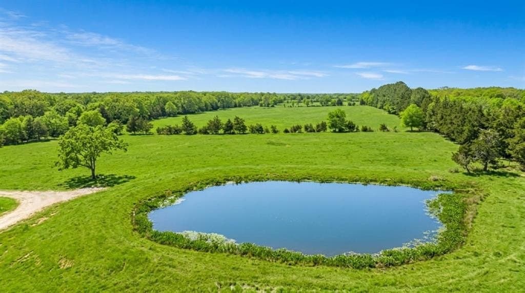 8.3 acres in Lamar County - photo 4