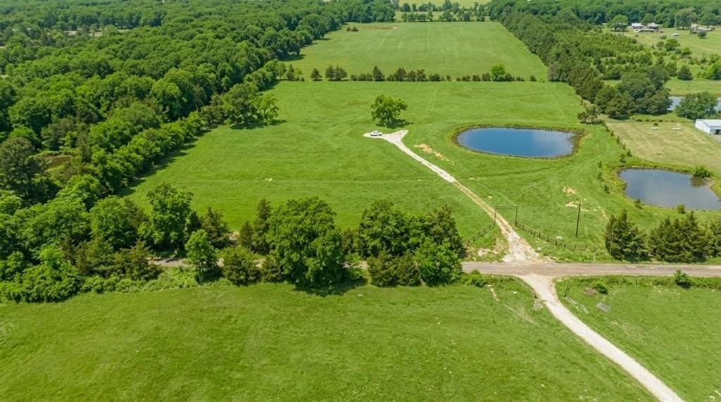 8.3 acres in Lamar County - photo 14