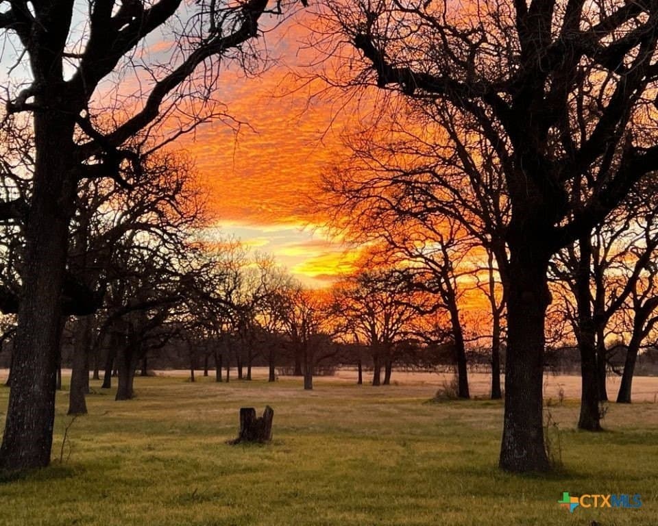 24.14 acres in Bell County - photo 36