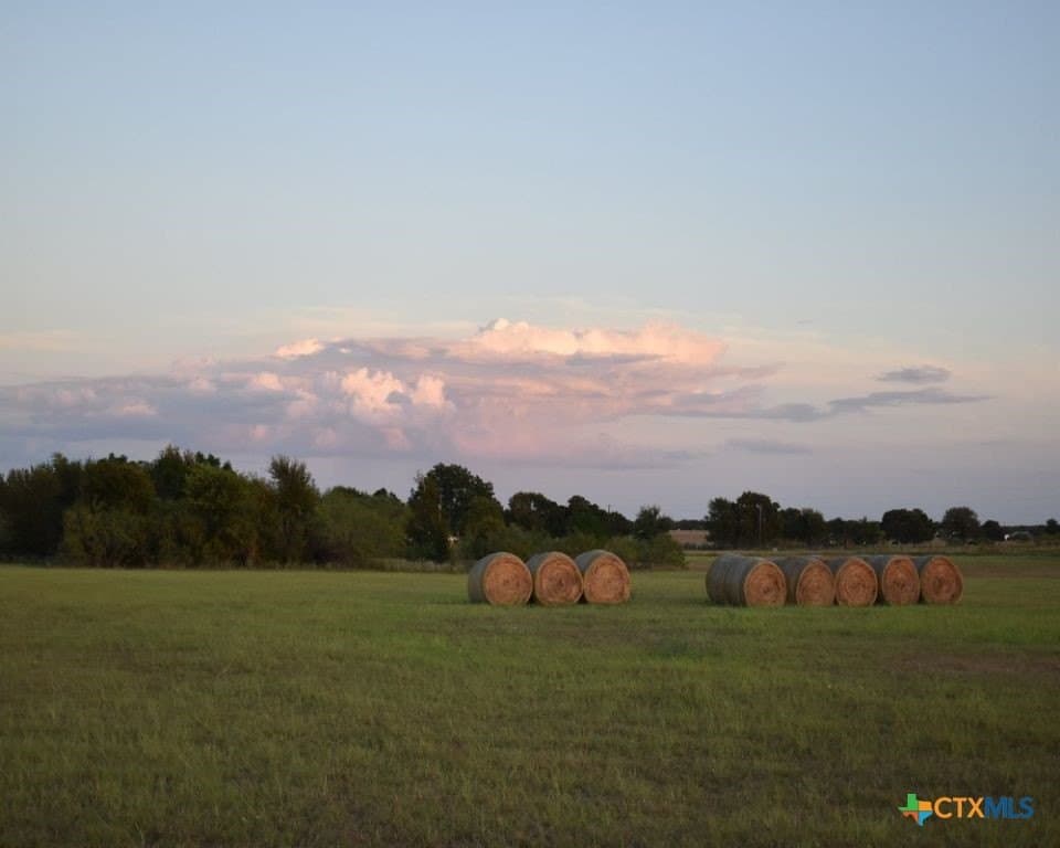 24.14 acres in Bell County - photo 31