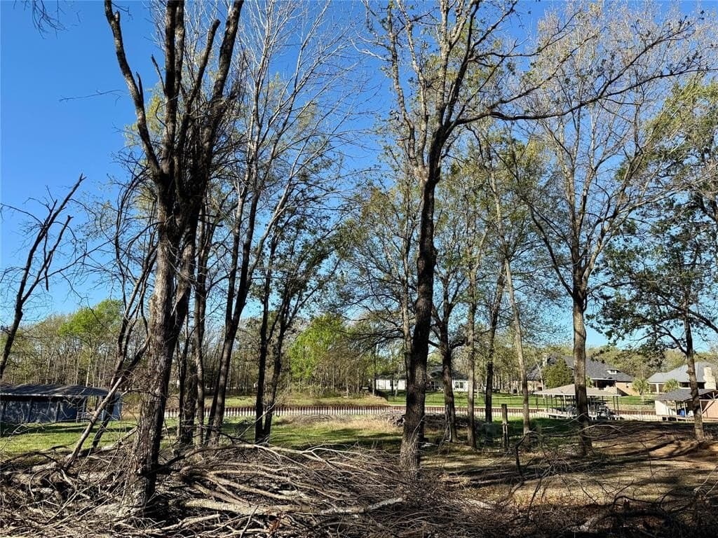 0.51 acres in Navarro County - photo 6