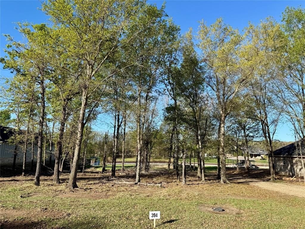 0.51 acres in Navarro County - photo 5