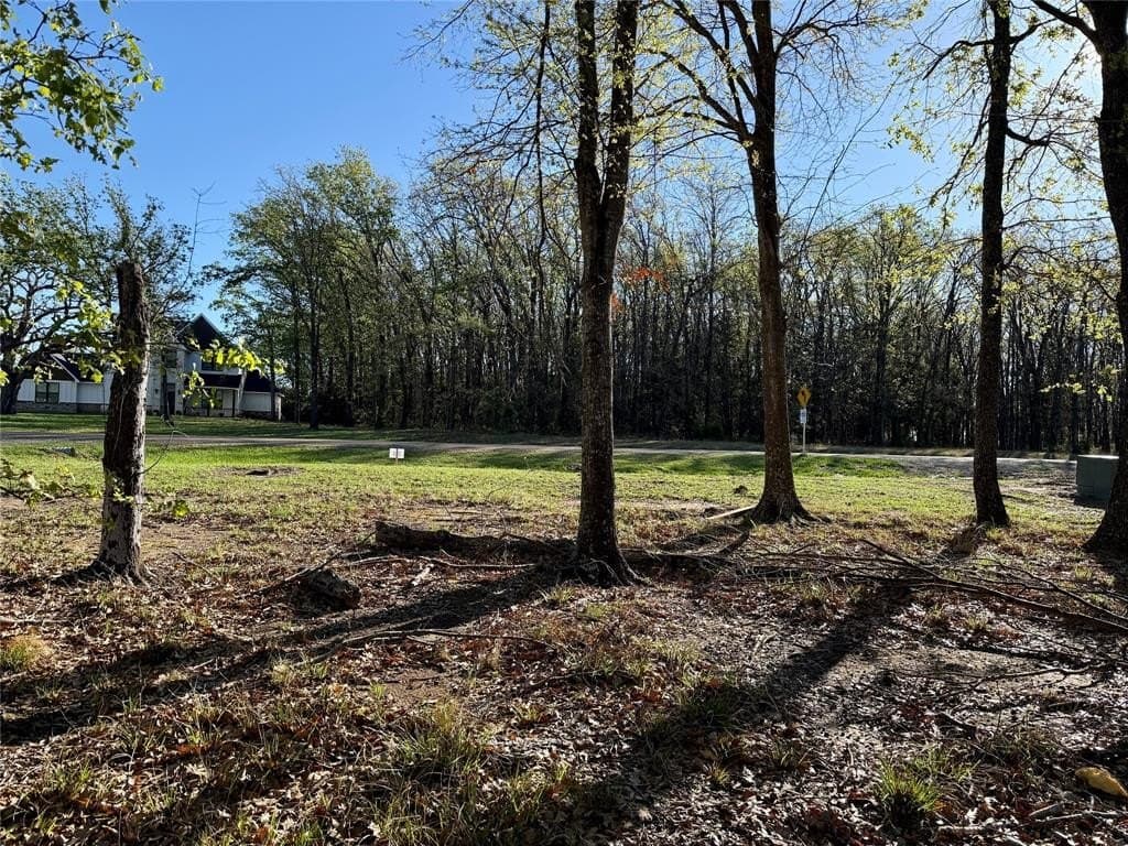 0.51 acres in Navarro County - photo 7