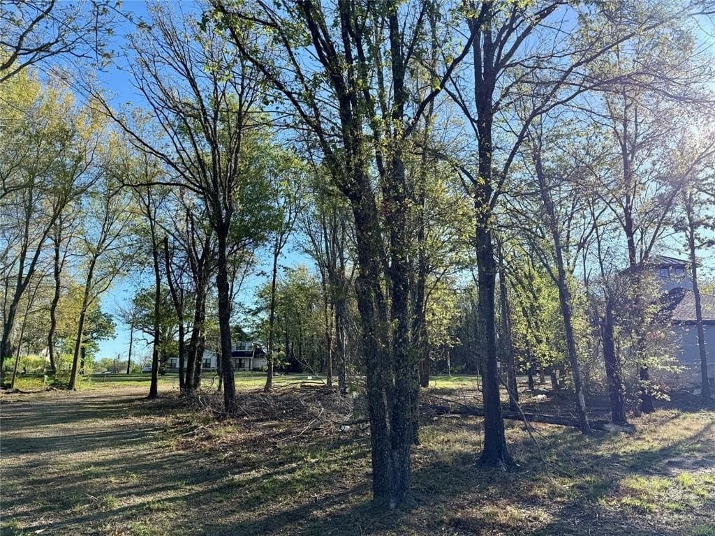 0.51 acres in Navarro County - photo 12