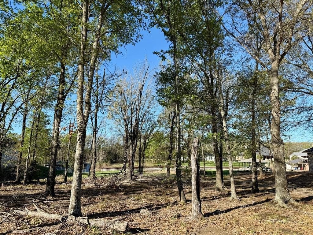 0.51 acres in Navarro County - photo 18