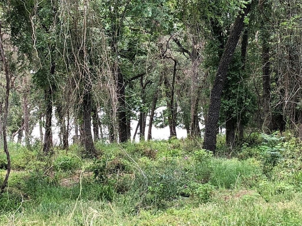 0.9 acres in Limestone County - photo 2