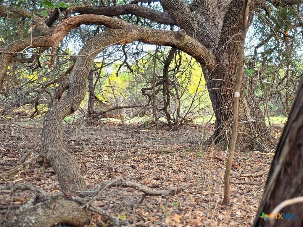 15 acres in Burnet County - photo 12
