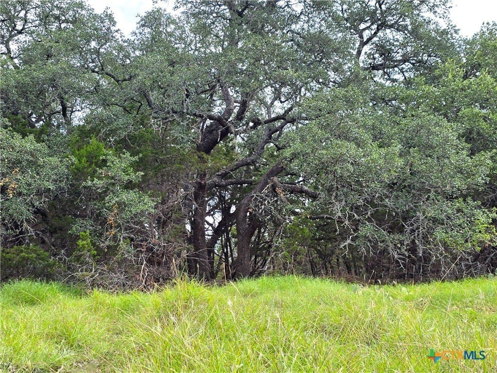 15 acres in Burnet County - photo 5