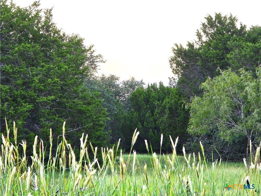 15 acres in Burnet County - photo 7