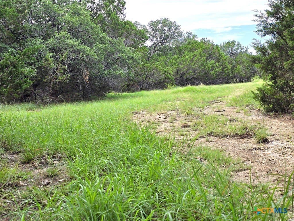 15 acres in Burnet County - photo 17