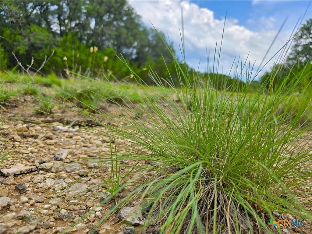 15 acres in Burnet County - photo 18