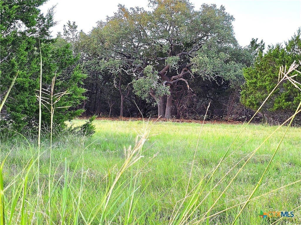 15 acres in Burnet County - photo 15