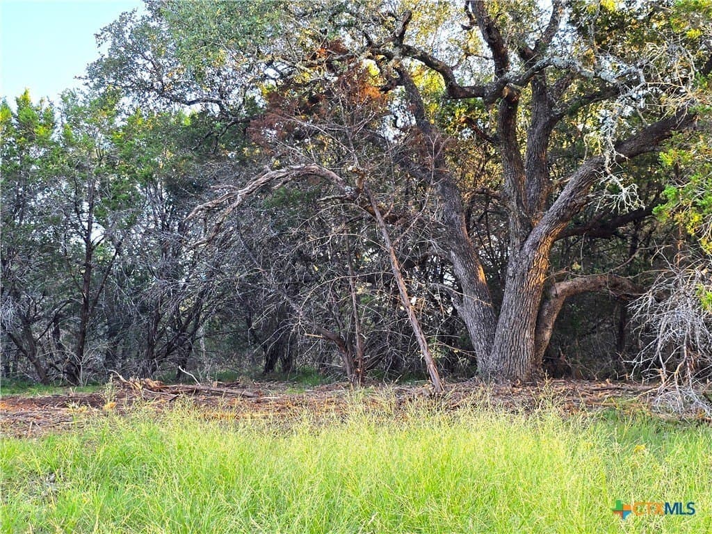 15 acres in Burnet County - photo 6