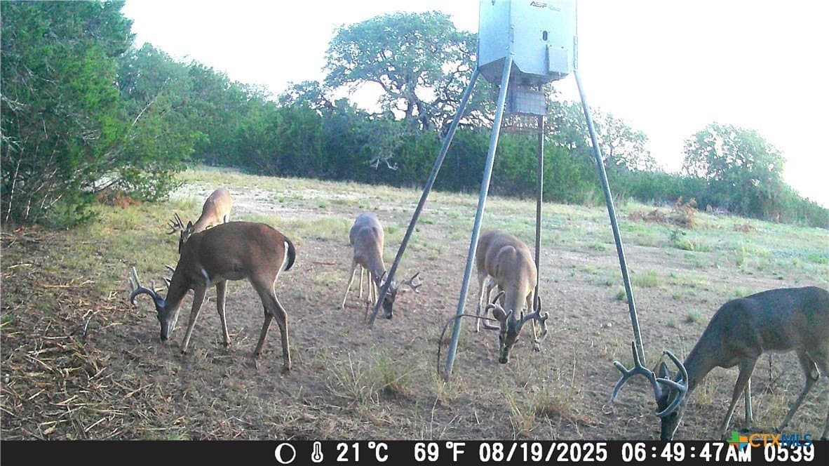 15 acres in Burnet County - photo 10