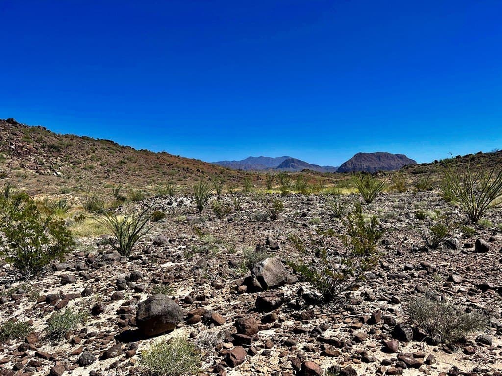 10 acres in Brewster County - photo 15