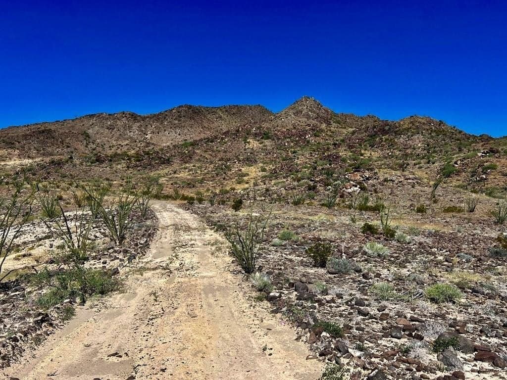 10 acres in Brewster County - photo 8