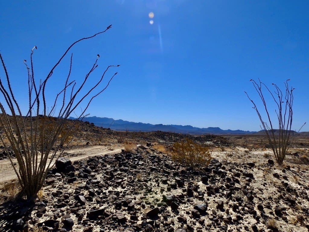 10 acres in Brewster County - photo 10