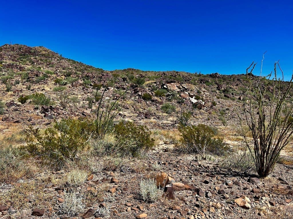 10 acres in Brewster County - photo 25