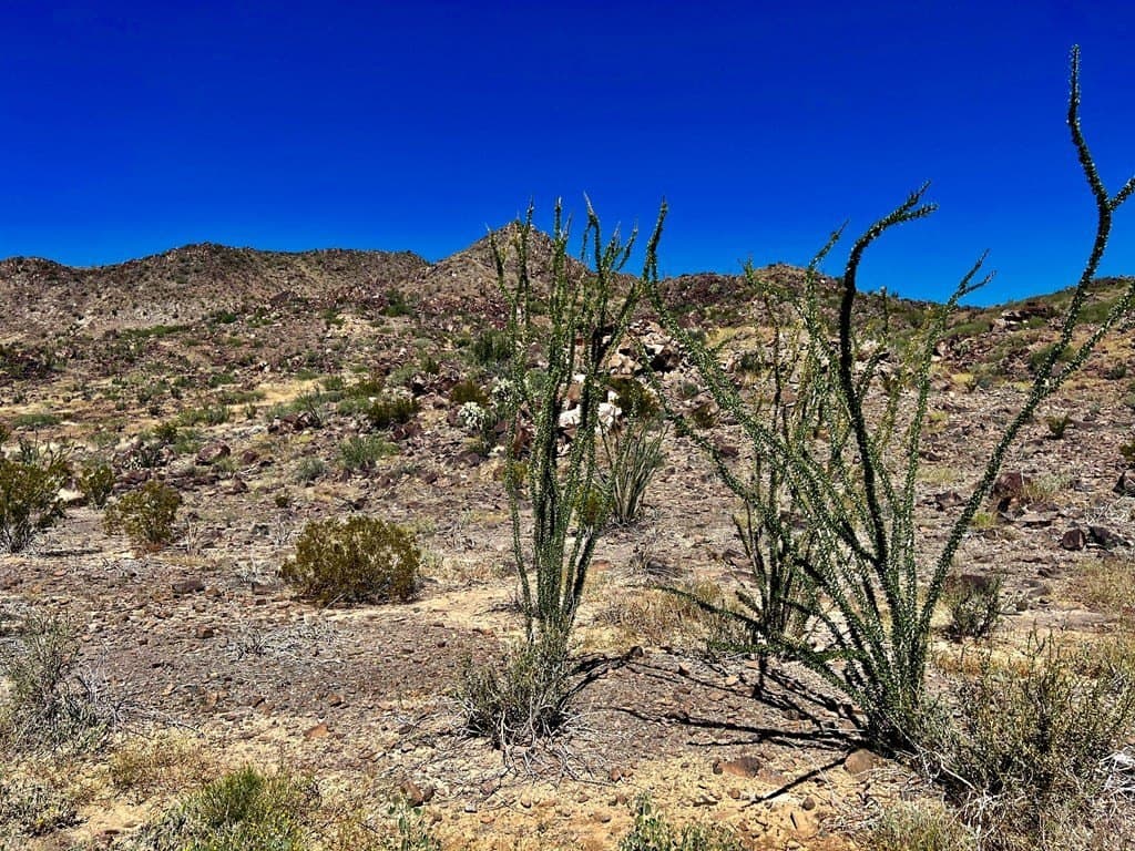 10 acres in Brewster County - photo 21