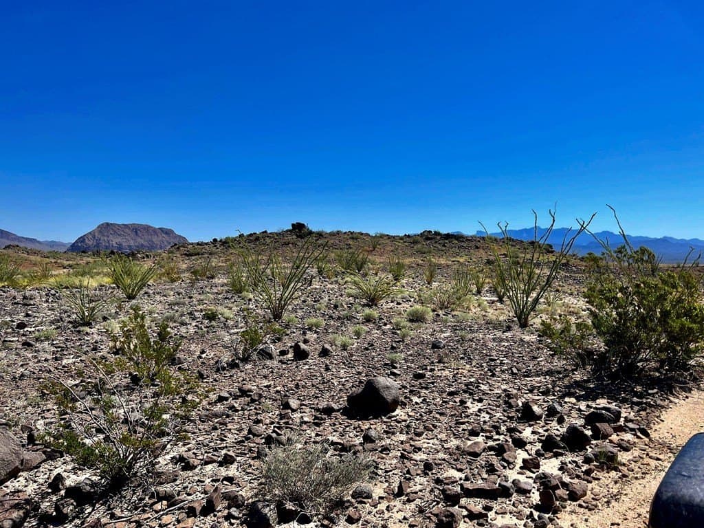 10 acres in Brewster County - photo 24