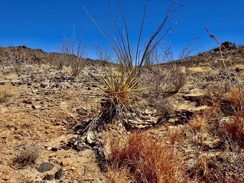10 acres in Brewster County - photo 16